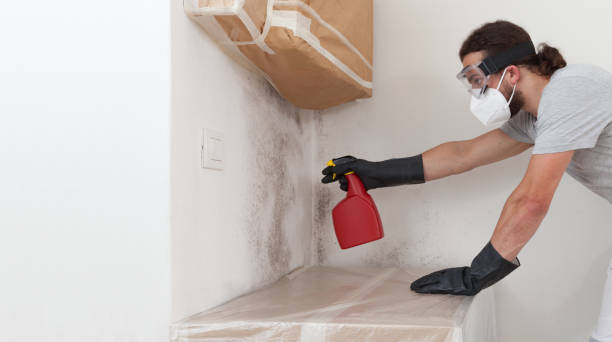 Professional Basement Mold Remediation technician working in Woodcliff Lake, NJ