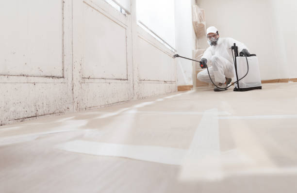 24/7 Emergency Basement Mold Remediation experts in Woodcliff Lake, NJ