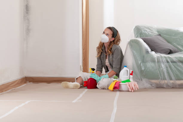 Reliable Basement Mold Remediation contractor in Woodcliff Lake, NJ by WQB Mold Removal